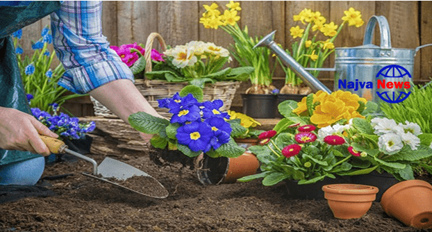تاثیر باغبانی در کاهش استرس
