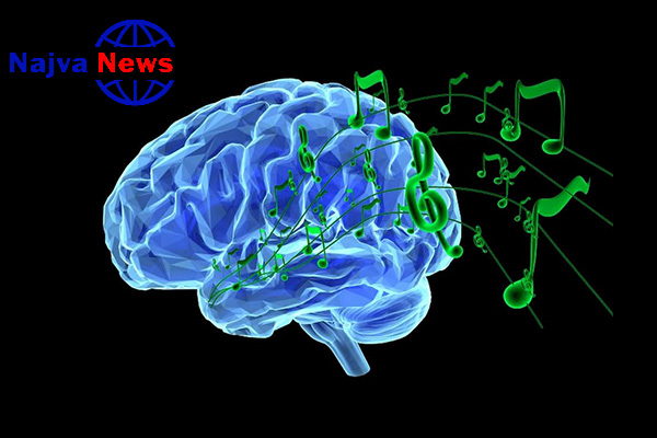 تاثیر موسیقی بر مغز