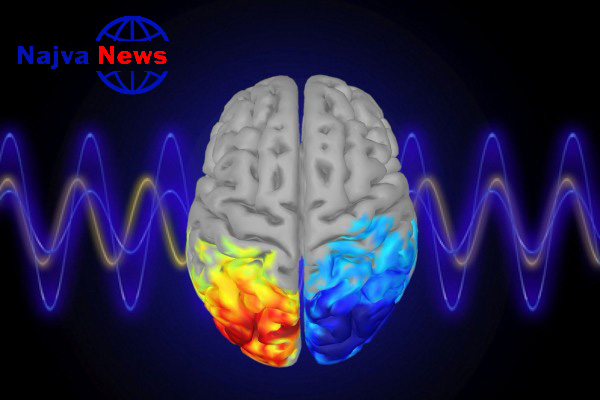 امواج مغزی آلفا چیست